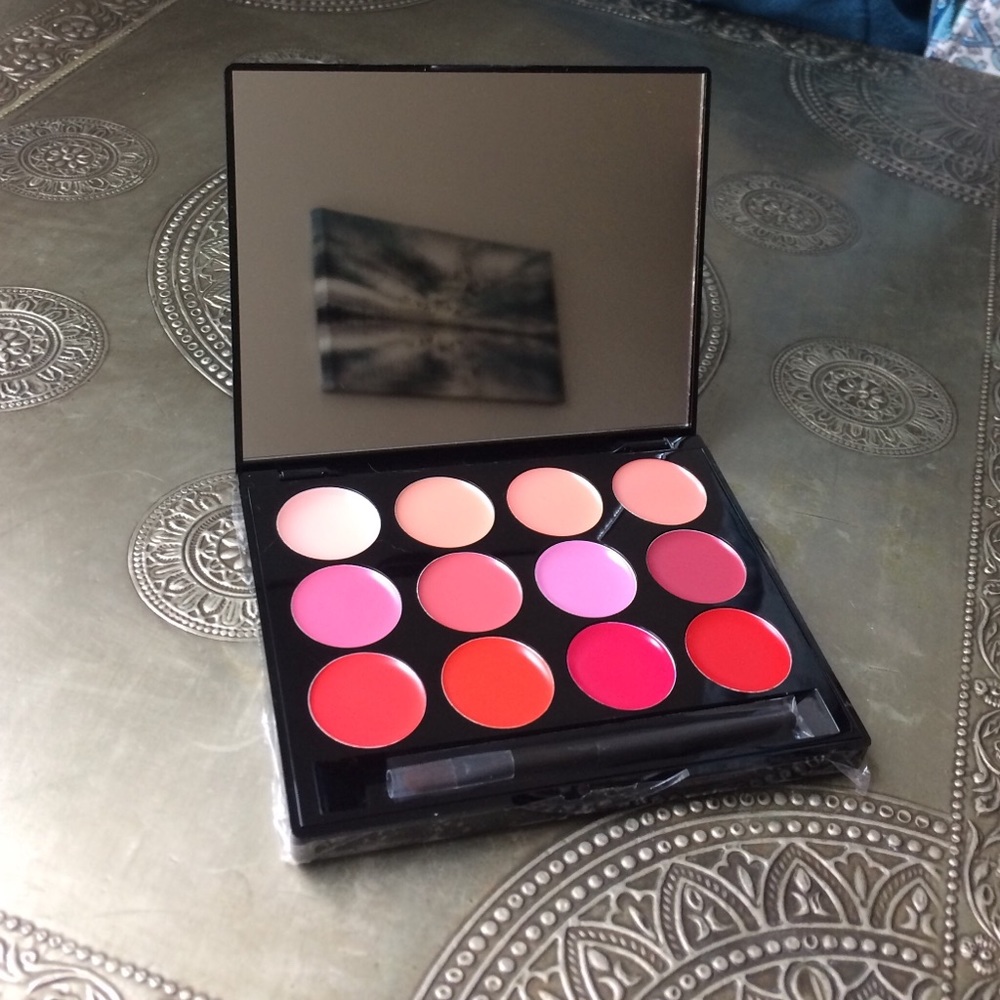 Unused 12 color ISH lip pallet!